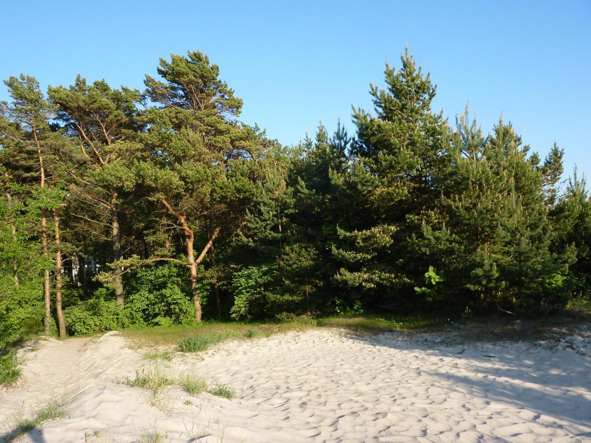 Palangos Apartamentai - Bangu Palanga Eksteriør bilde
